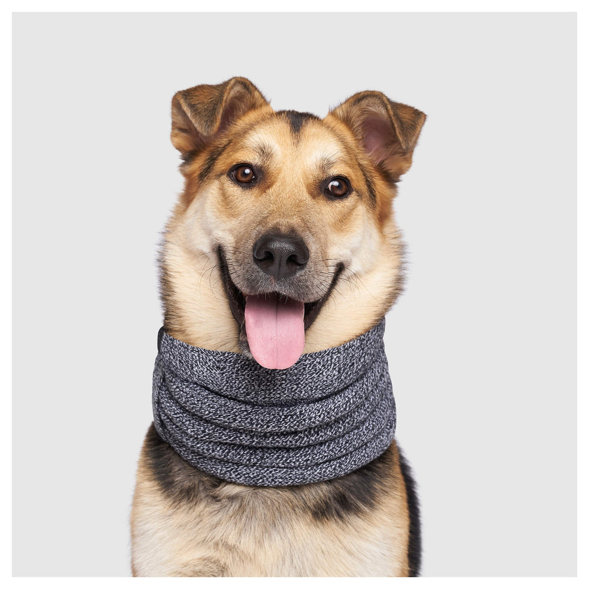 Canada Pooch Sierra Scarf｜狗狗服飾｜加拿大直送 產品細節圖 6