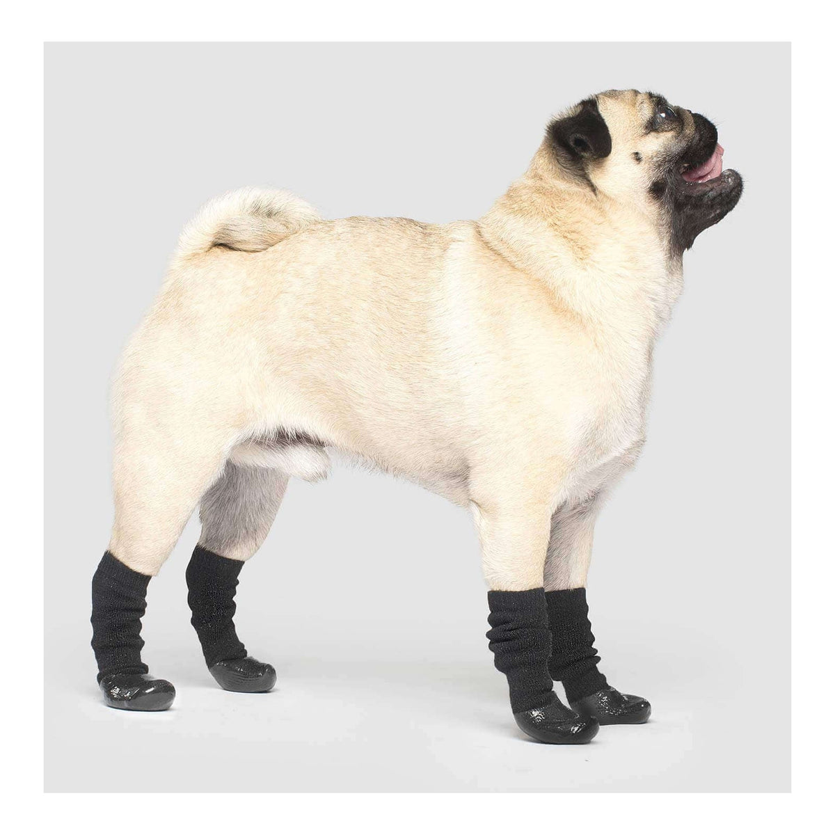 Canada Pooch Slouchy Socks｜狗狗鞋襪｜加拿大直送 主產品圖