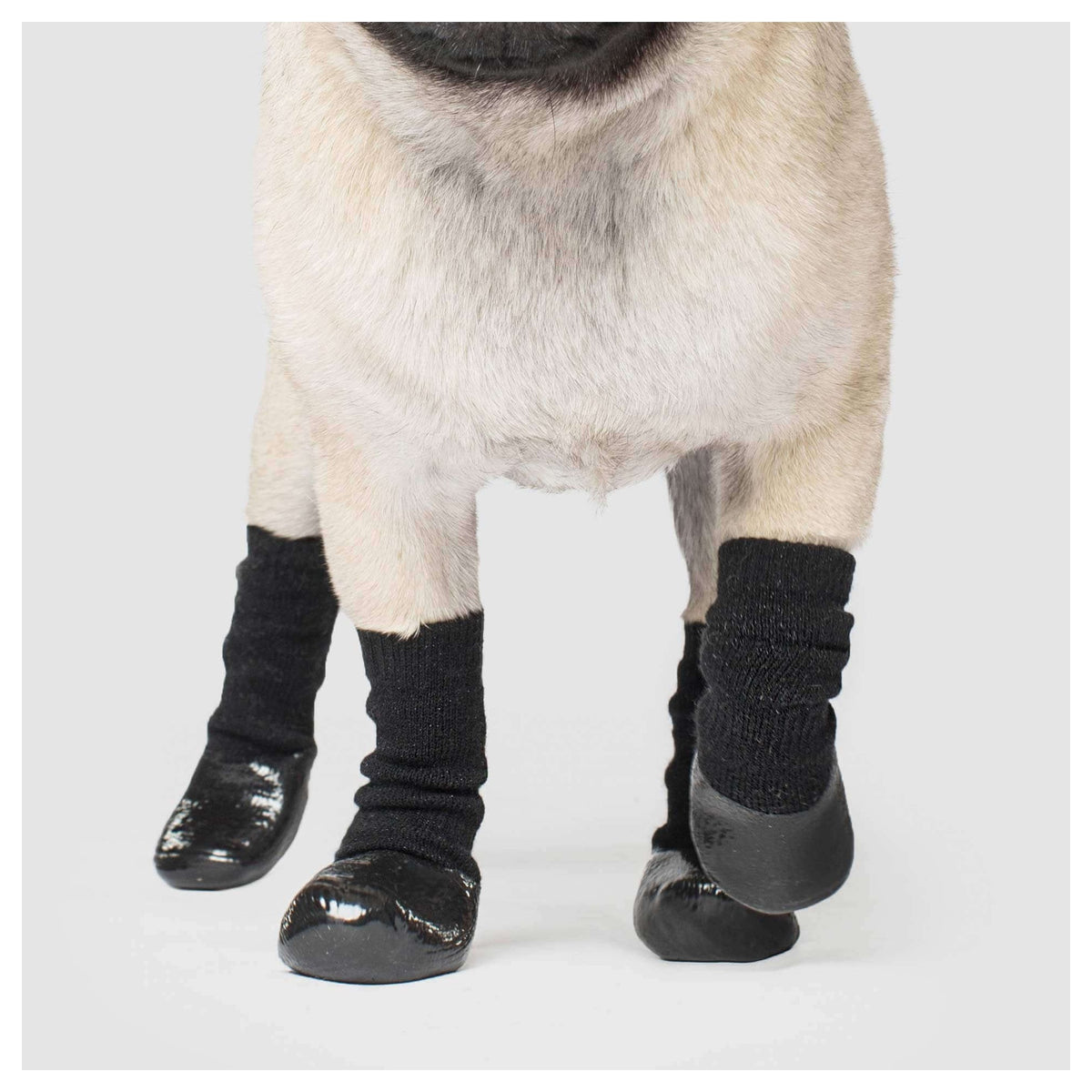 Canada Pooch Slouchy Socks｜狗狗鞋襪｜加拿大直送 產品細節圖 2