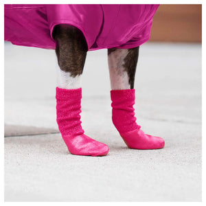 Canada Pooch Slouchy Socks｜狗狗鞋襪｜加拿大直送 產品細節圖 8