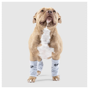 Canada Pooch Work It Warmers｜狗狗鞋襪｜加拿大直送 產品細節圖 2