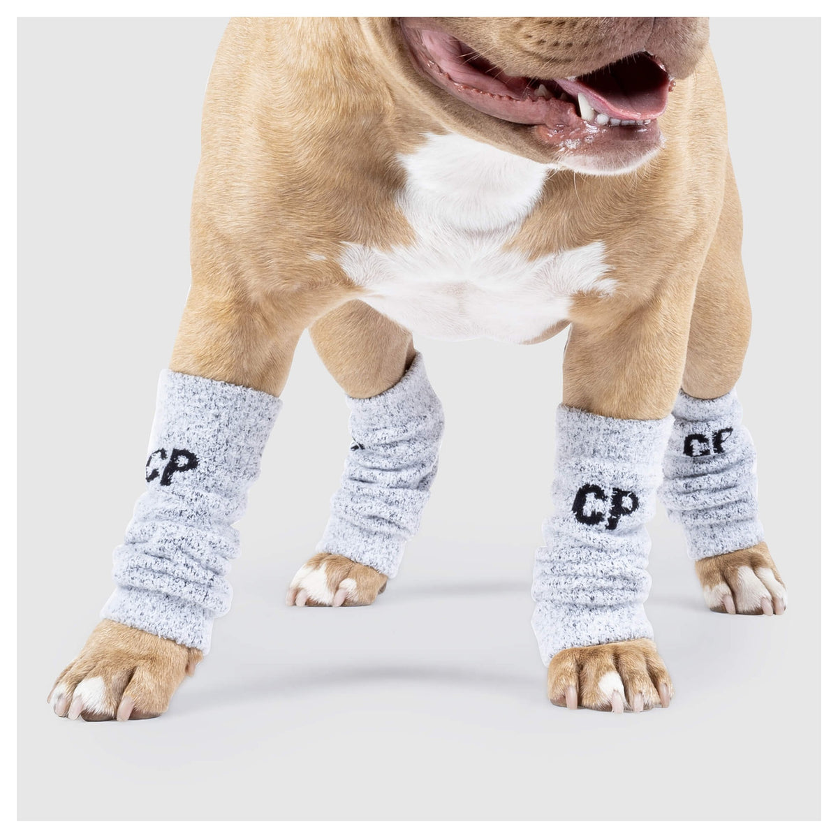 Canada Pooch Work It Warmers｜狗狗鞋襪｜加拿大直送 產品細節圖 3