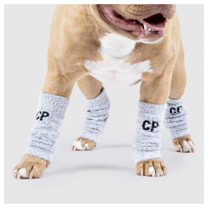 Canada Pooch Work It Warmers｜狗狗鞋襪｜加拿大直送 產品細節圖 3