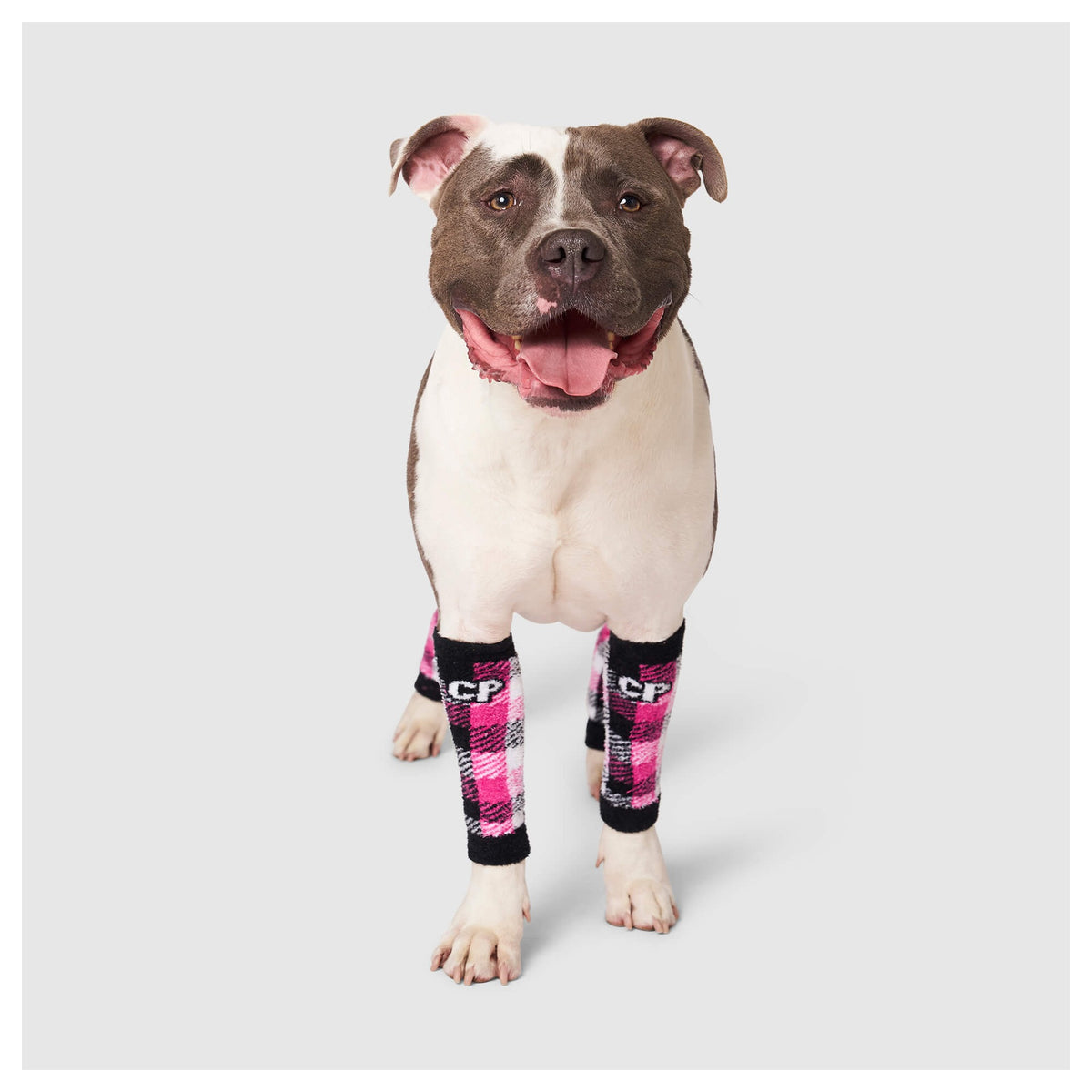 Canada Pooch Work It Warmers｜狗狗鞋襪｜加拿大直送 產品細節圖 6