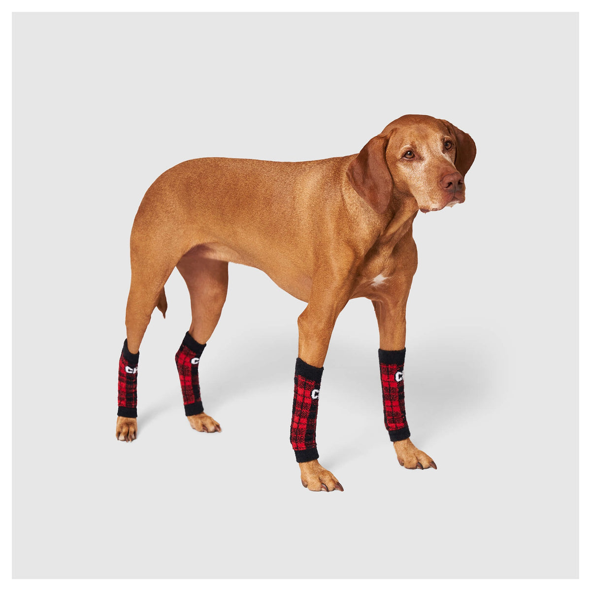 Canada Pooch Work It Warmers｜狗狗鞋襪｜加拿大直送 產品細節圖 8