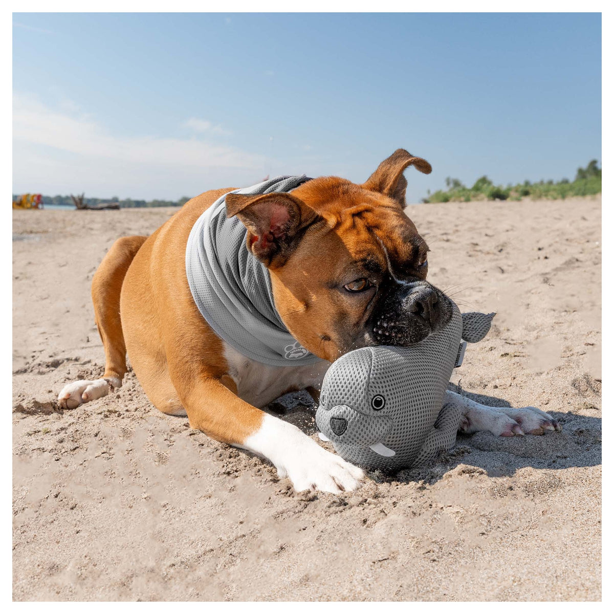 Canada Pooch Freeze & Chill Cooling Pal Toy｜狗狗玩具｜加拿大直送-狗-毛孩物語Pets Thing｜香港寵物貓狗用品專門店：IATA寵物飛機籠、寵物手推車、貓爬架貓樹