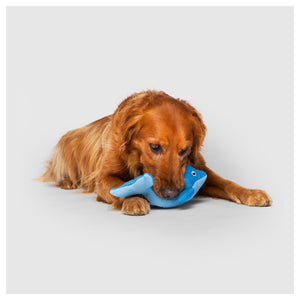 Canada Pooch Freeze & Chill Cooling Pal Toy｜狗狗玩具｜加拿大直送-狗-毛孩物語Pets Thing｜香港寵物貓狗用品專門店：IATA寵物飛機籠、寵物手推車、貓爬架貓樹