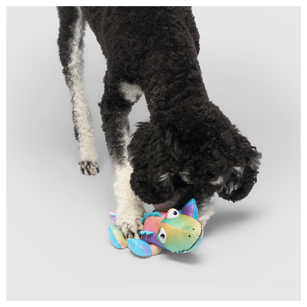 Canada Pooch Freeze & Chill Cooling Pal Toy｜狗狗玩具｜加拿大直送-狗-毛孩物語Pets Thing｜香港寵物貓狗用品專門店：IATA寵物飛機籠、寵物手推車、貓爬架貓樹