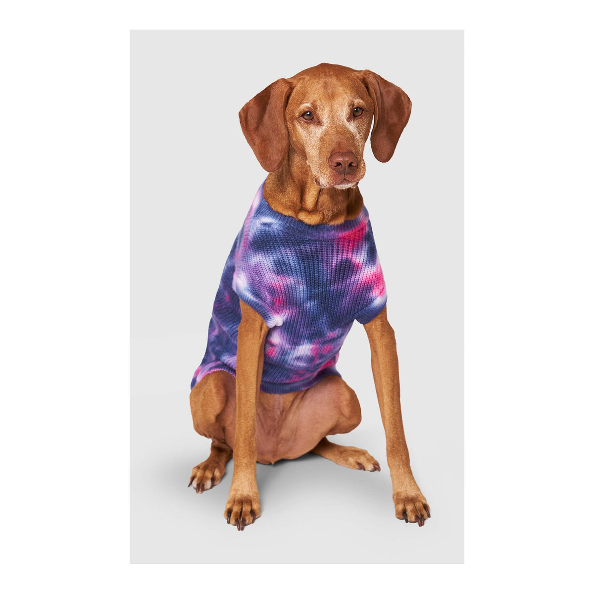 Canada Pooch Wild Side Sweater｜狗狗服飾｜加拿大直送-狗-毛孩物語Pets Thing｜香港寵物貓狗用品專門店：IATA寵物飛機籠、寵物手推車、貓爬架貓樹