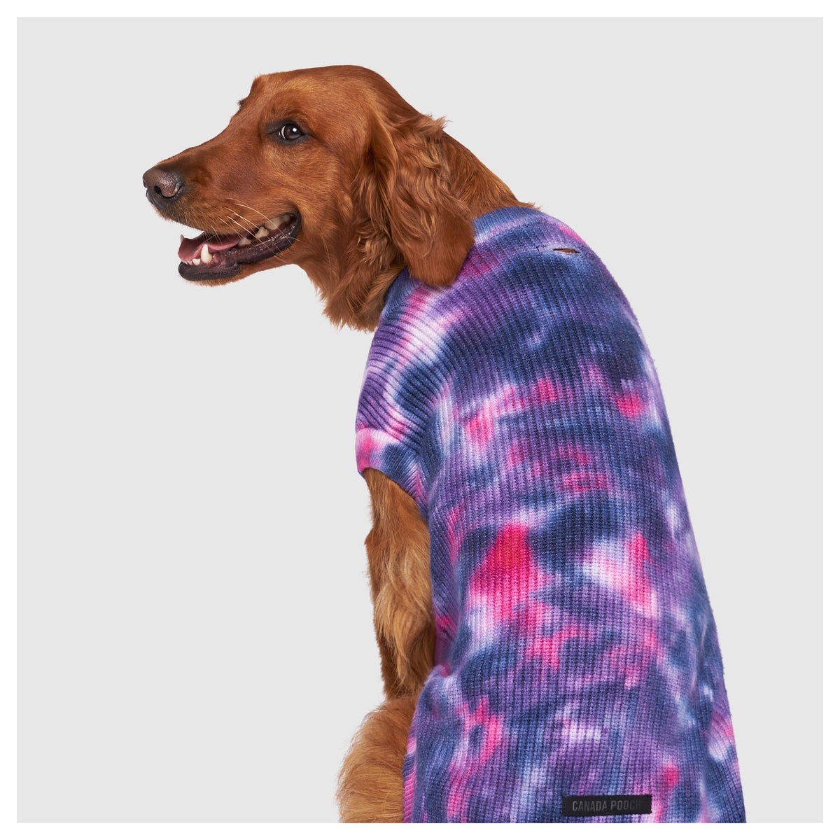 Canada Pooch Wild Side Sweater｜狗狗服飾｜加拿大直送-狗-毛孩物語Pets Thing｜香港寵物貓狗用品專門店：IATA寵物飛機籠、寵物手推車、貓爬架貓樹
