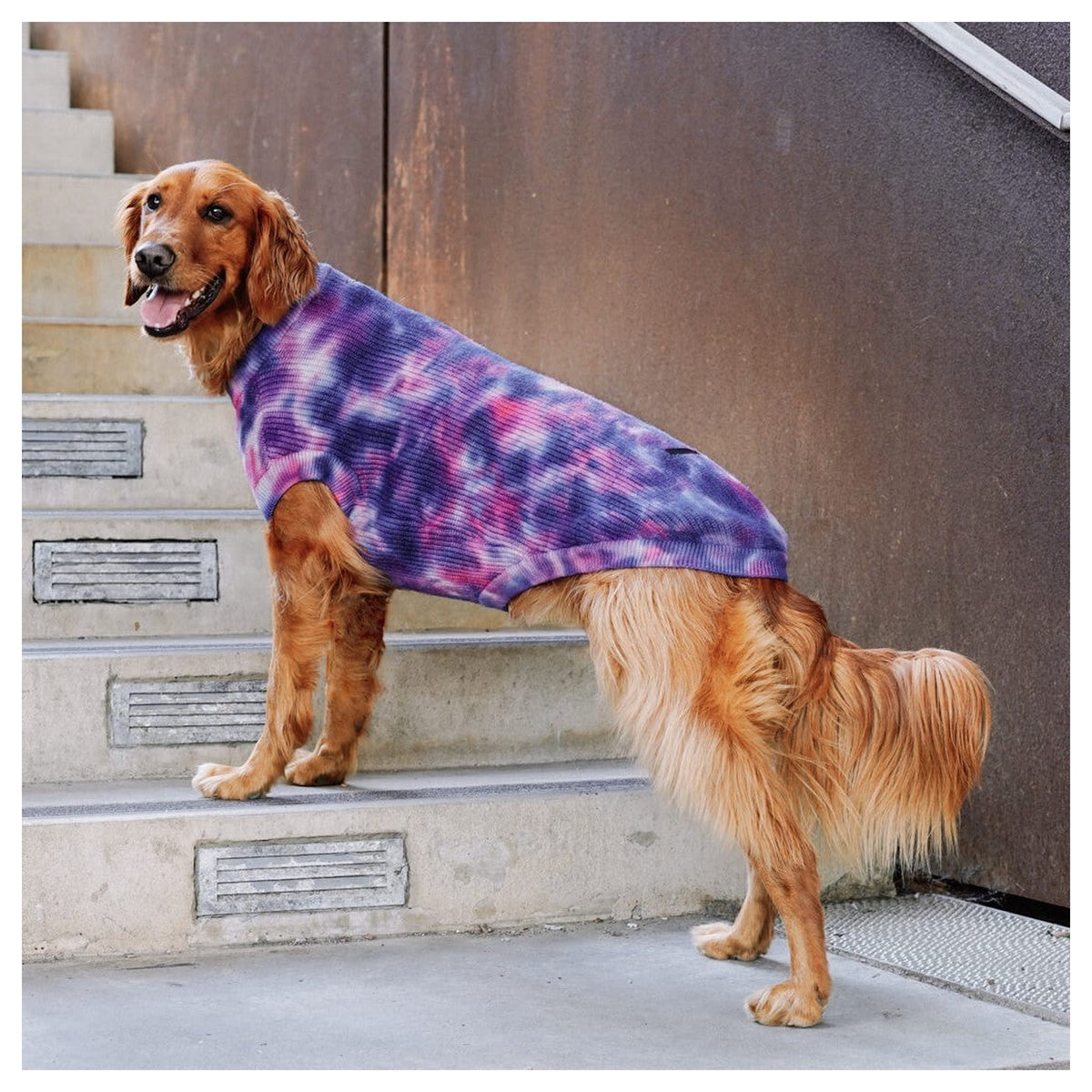Canada Pooch Wild Side Sweater｜狗狗服飾｜加拿大直送-狗-毛孩物語Pets Thing｜香港寵物貓狗用品專門店：IATA寵物飛機籠、寵物手推車、貓爬架貓樹
