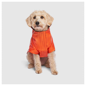 Canada Pooch Cold Front Raincoat｜狗狗雨具｜加拿大直送-狗-毛孩物語Pets Thing｜香港寵物貓狗用品專門店：IATA寵物飛機籠、寵物手推車、貓爬架貓樹