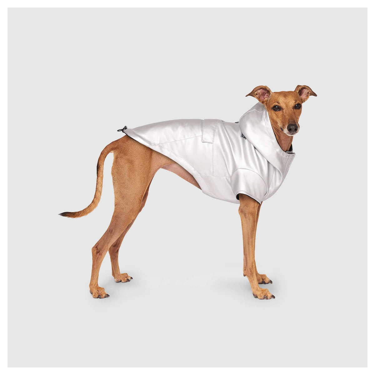 Canada Pooch Cold Front Raincoat｜狗狗雨具｜加拿大直送-狗-毛孩物語Pets Thing｜香港寵物貓狗用品專門店：IATA寵物飛機籠、寵物手推車、貓爬架貓樹
