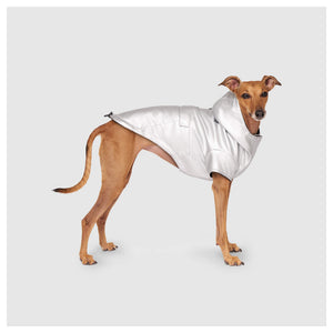 Canada Pooch Cold Front Raincoat｜狗狗雨具｜加拿大直送-狗-毛孩物語Pets Thing｜香港寵物貓狗用品專門店：IATA寵物飛機籠、寵物手推車、貓爬架貓樹