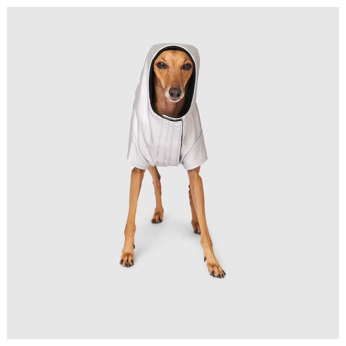 Canada Pooch Cold Front Raincoat｜狗狗雨具｜加拿大直送-狗-毛孩物語Pets Thing｜香港寵物貓狗用品專門店：IATA寵物飛機籠、寵物手推車、貓爬架貓樹