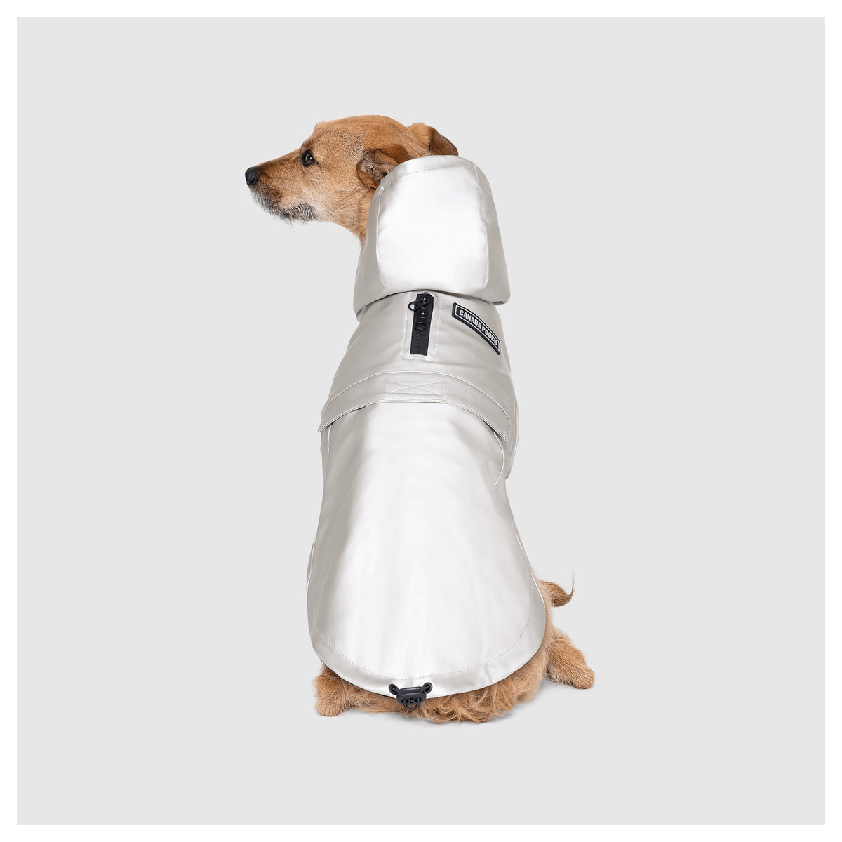 Canada Pooch Cold Front Raincoat｜狗狗雨具｜加拿大直送-狗-毛孩物語Pets Thing｜香港寵物貓狗用品專門店：IATA寵物飛機籠、寵物手推車、貓爬架貓樹
