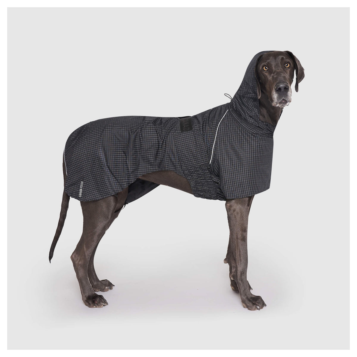 Canada Pooch Complete Coverage Raincoat｜狗狗雨具｜加拿大直送-狗-毛孩物語Pets Thing｜香港寵物貓狗用品專門店：IATA寵物飛機籠、寵物手推車、貓爬架貓樹