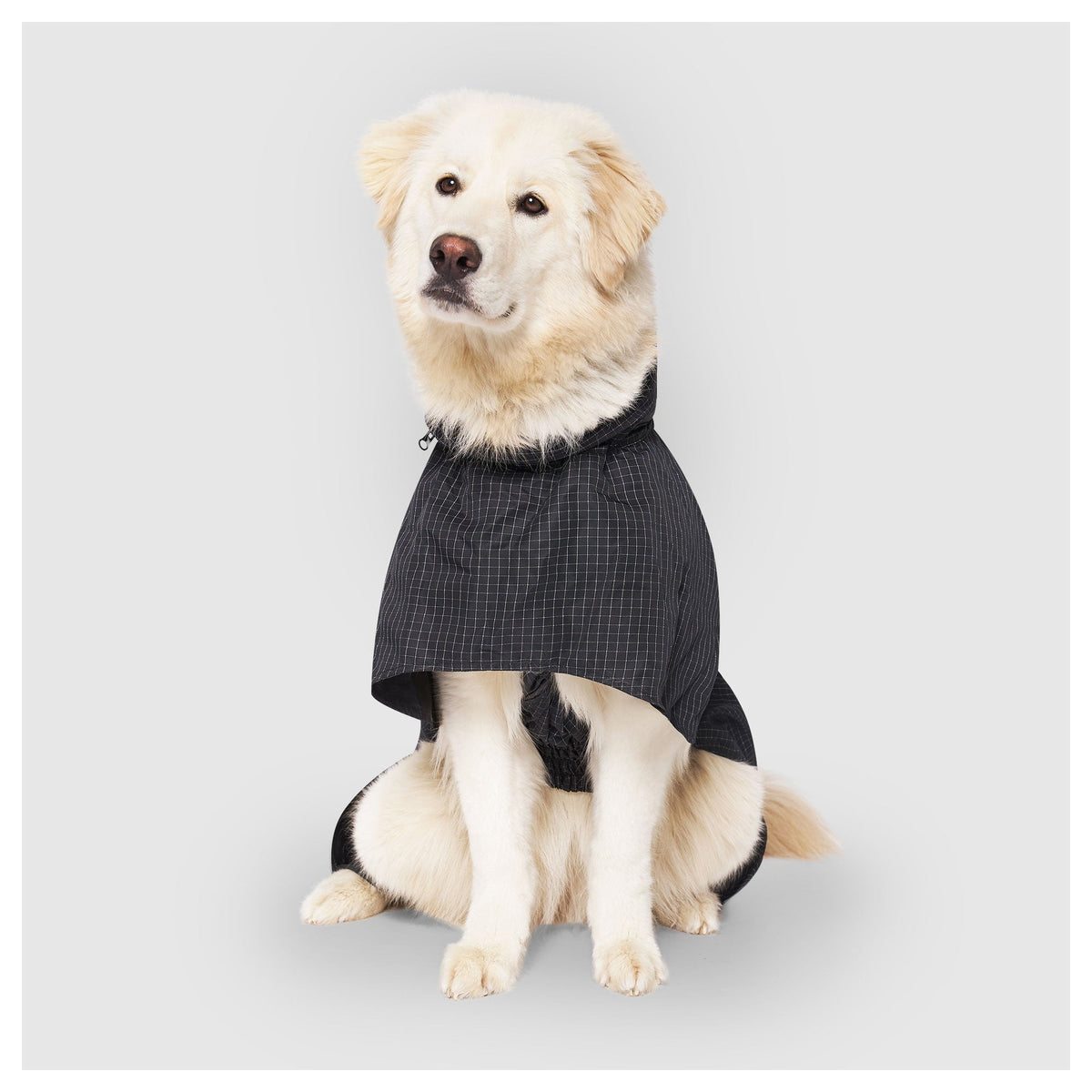 Canada Pooch Complete Coverage Raincoat｜狗狗雨具｜加拿大直送-狗-毛孩物語Pets Thing｜香港寵物貓狗用品專門店：IATA寵物飛機籠、寵物手推車、貓爬架貓樹