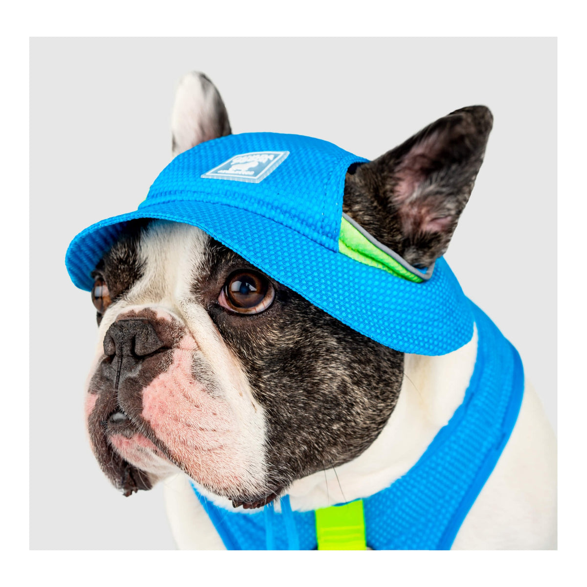 Canada Pooch Chill Seeker Cooling Hat｜狗狗服飾｜加拿大直送-狗-毛孩物語Pets Thing｜香港寵物貓狗用品專門店：IATA寵物飛機籠、寵物手推車、貓爬架貓樹