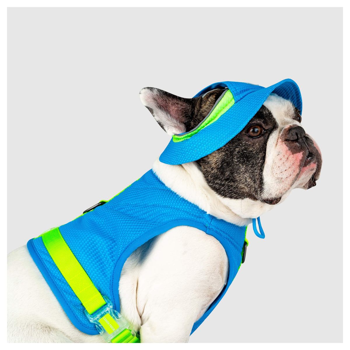 Canada Pooch Chill Seeker Cooling Hat｜狗狗服飾｜加拿大直送-狗-毛孩物語Pets Thing｜香港寵物貓狗用品專門店：IATA寵物飛機籠、寵物手推車、貓爬架貓樹
