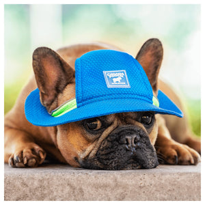 Canada Pooch Chill Seeker Cooling Hat｜狗狗服飾｜加拿大直送-狗-毛孩物語Pets Thing｜香港寵物貓狗用品專門店：IATA寵物飛機籠、寵物手推車、貓爬架貓樹
