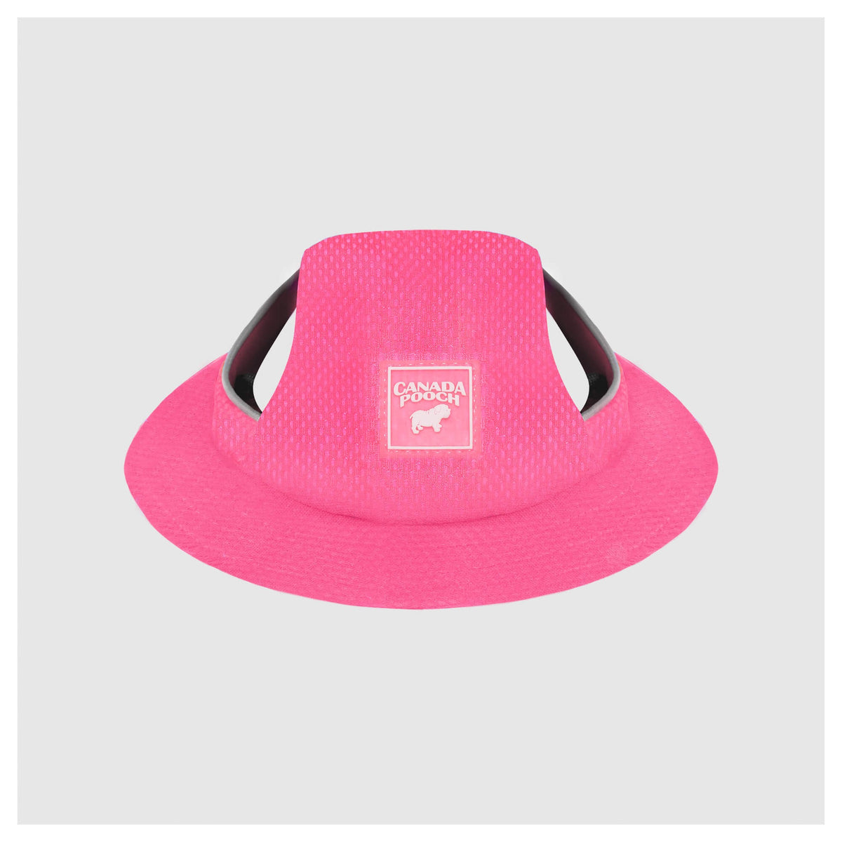 Canada Pooch Chill Seeker Cooling Hat｜狗狗服飾｜加拿大直送-狗-毛孩物語Pets Thing｜香港寵物貓狗用品專門店：IATA寵物飛機籠、寵物手推車、貓爬架貓樹