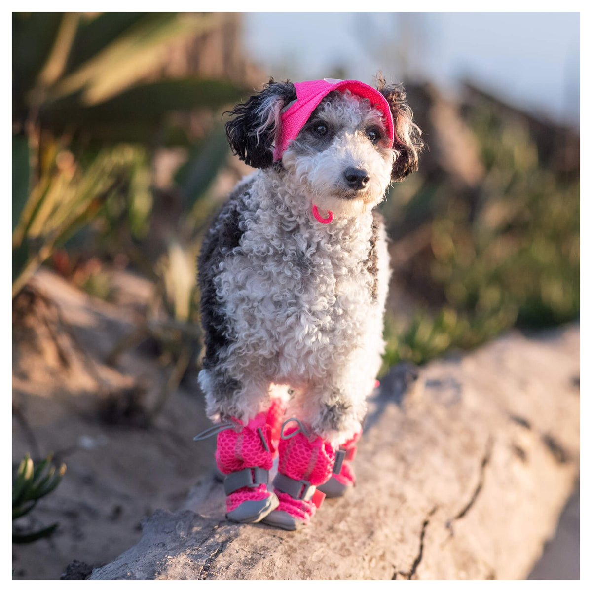 Canada Pooch Chill Seeker Cooling Hat｜狗狗服飾｜加拿大直送-狗-毛孩物語Pets Thing｜香港寵物貓狗用品專門店：IATA寵物飛機籠、寵物手推車、貓爬架貓樹