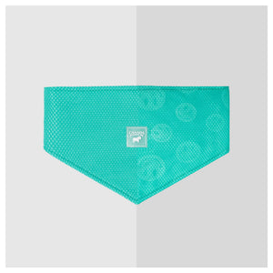 Canada Pooch Cooling Bandana Wet Reveal｜狗狗服飾｜加拿大直送-狗-毛孩物語Pets Thing｜香港寵物貓狗用品專門店：IATA寵物飛機籠、寵物手推車、貓爬架貓樹