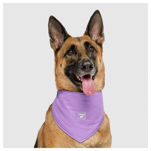 Canada Pooch Cooling Bandana Wet Reveal｜狗狗服飾｜加拿大直送-狗-毛孩物語Pets Thing｜香港寵物貓狗用品專門店：IATA寵物飛機籠、寵物手推車、貓爬架貓樹