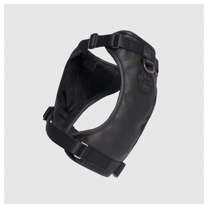 Canada Pooch Eco+ Everything Harness｜狗狗胸帶及戶外用品｜加拿大直送-寵物胸背帶-毛孩物語Pets Thing｜香港寵物貓狗用品專門店：IATA寵物飛機籠、寵物手推車、貓爬架貓樹