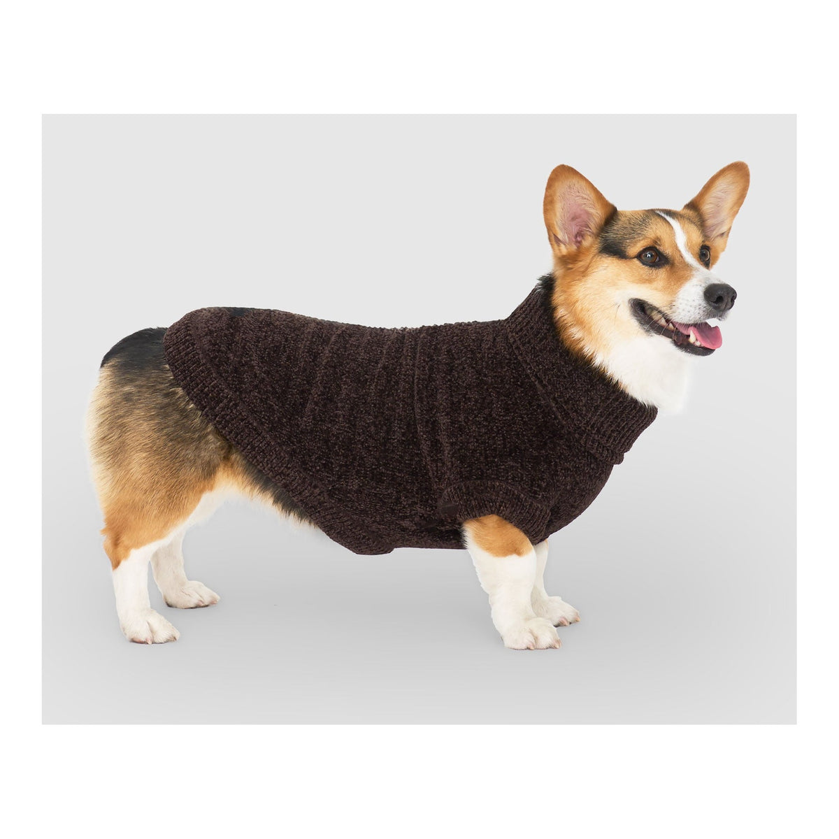 Canada Pooch Soho Sweater｜狗狗服飾｜加拿大直送-狗-毛孩物語Pets Thing｜香港寵物貓狗用品專門店：IATA寵物飛機籠、寵物手推車、貓爬架貓樹