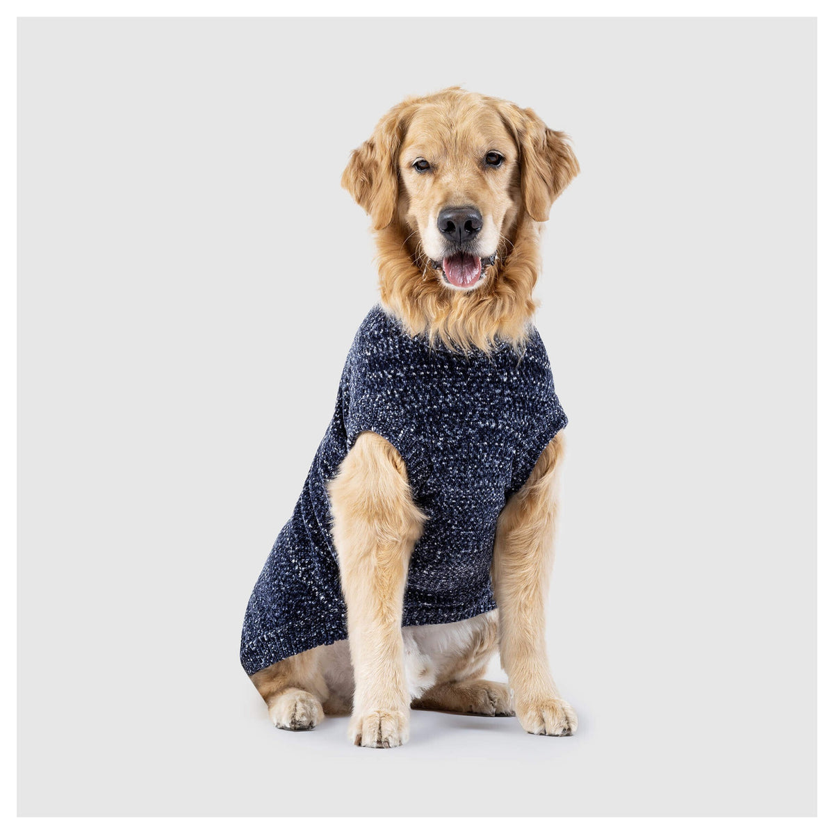 Canada Pooch Soho Sweater｜狗狗服飾｜加拿大直送-狗-毛孩物語Pets Thing｜香港寵物貓狗用品專門店：IATA寵物飛機籠、寵物手推車、貓爬架貓樹