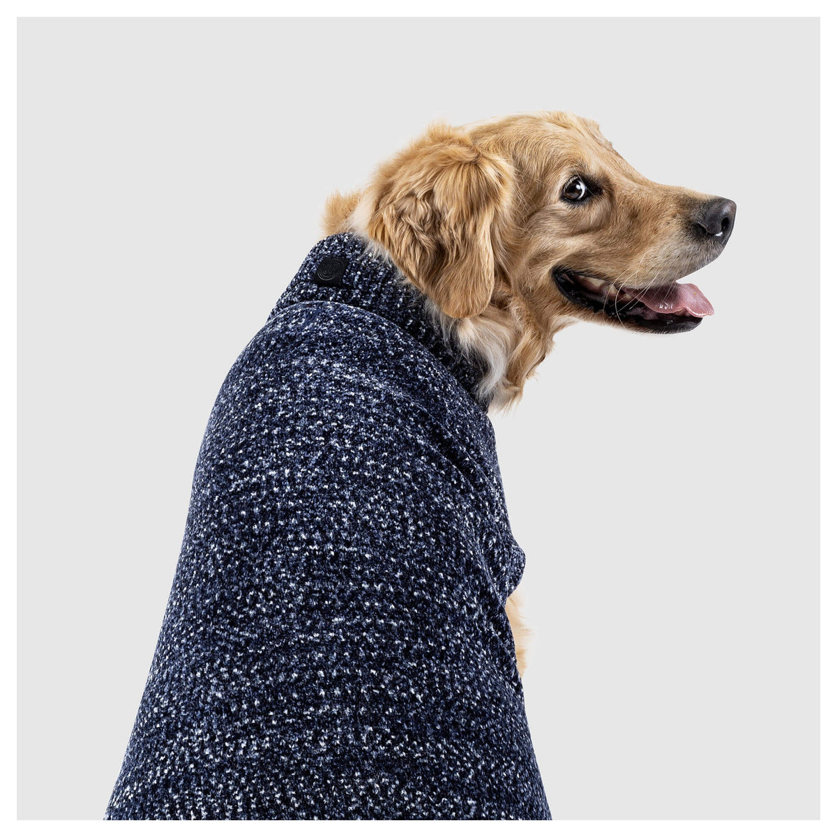 Canada Pooch Soho Sweater｜狗狗服飾｜加拿大直送-狗-毛孩物語Pets Thing｜香港寵物貓狗用品專門店：IATA寵物飛機籠、寵物手推車、貓爬架貓樹