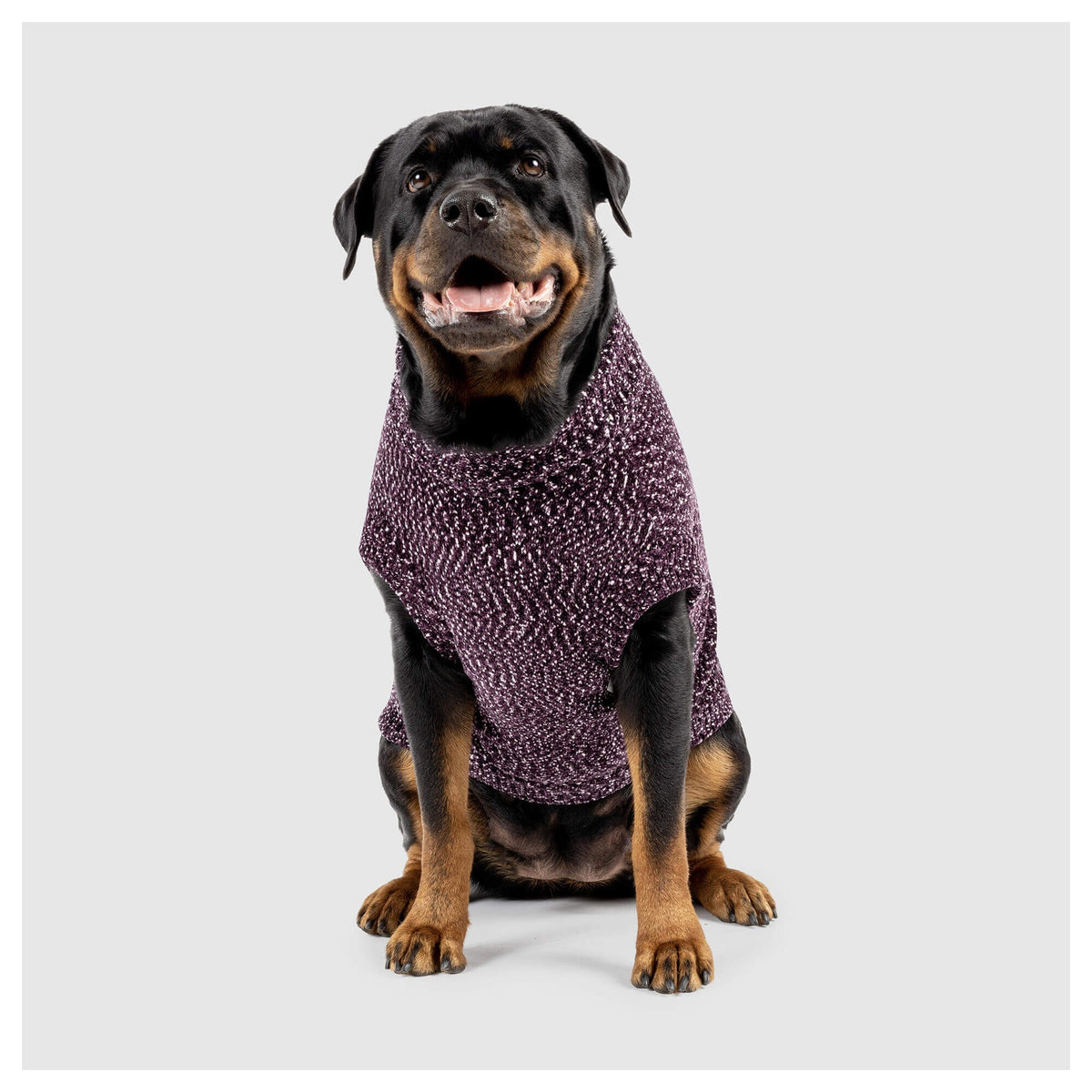 Canada Pooch Soho Sweater｜狗狗服飾｜加拿大直送-狗-毛孩物語Pets Thing｜香港寵物貓狗用品專門店：IATA寵物飛機籠、寵物手推車、貓爬架貓樹