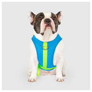 Canada Pooch Chill Seeker Cooling Harness｜狗狗胸帶及戶外用品｜加拿大直送-寵物胸背帶-毛孩物語Pets Thing｜香港寵物貓狗用品專門店：IATA寵物飛機籠、寵物手推車、貓爬架貓樹