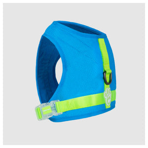 Canada Pooch Chill Seeker Cooling Harness｜狗狗胸帶及戶外用品｜加拿大直送-寵物胸背帶-毛孩物語Pets Thing｜香港寵物貓狗用品專門店：IATA寵物飛機籠、寵物手推車、貓爬架貓樹