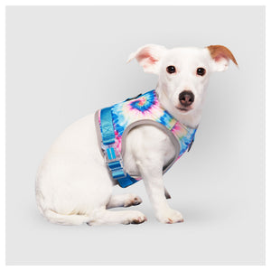 Canada Pooch Chill Seeker Cooling Harness｜狗狗胸帶及戶外用品｜加拿大直送-寵物胸背帶-毛孩物語Pets Thing｜香港寵物貓狗用品專門店：IATA寵物飛機籠、寵物手推車、貓爬架貓樹
