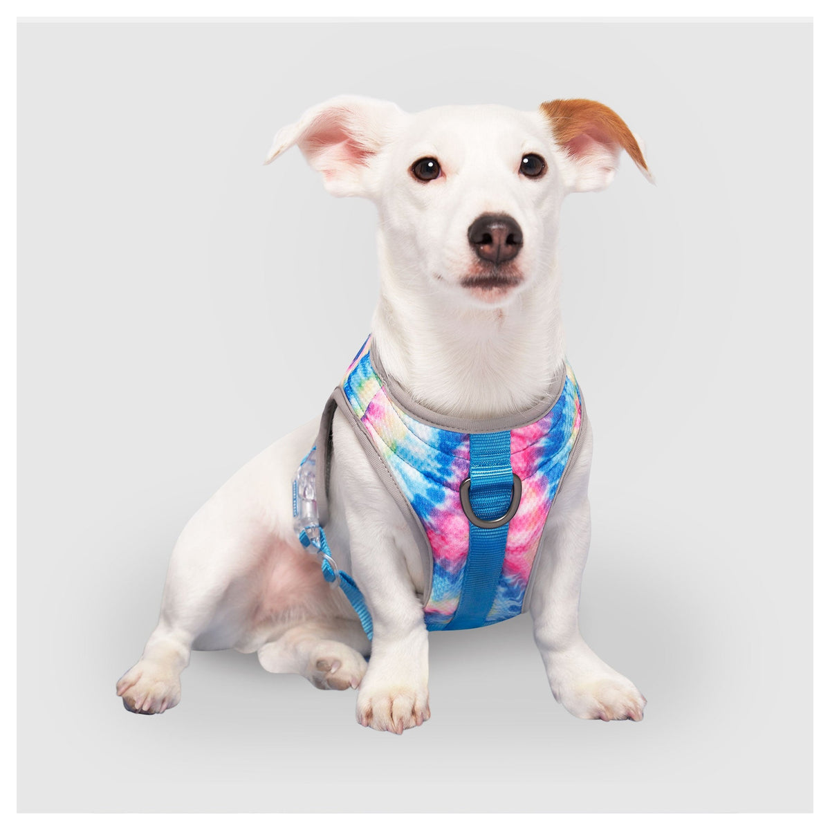 Canada Pooch Chill Seeker Cooling Harness｜狗狗胸帶及戶外用品｜加拿大直送-寵物胸背帶-毛孩物語Pets Thing｜香港寵物貓狗用品專門店：IATA寵物飛機籠、寵物手推車、貓爬架貓樹