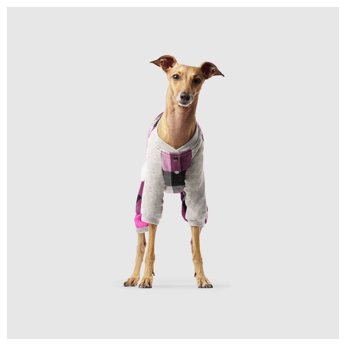 Canada Pooch Frosty Fleece Sweatsuit｜狗狗服飾｜加拿大直送-狗-毛孩物語Pets Thing｜香港寵物貓狗用品專門店：IATA寵物飛機籠、寵物手推車、貓爬架貓樹