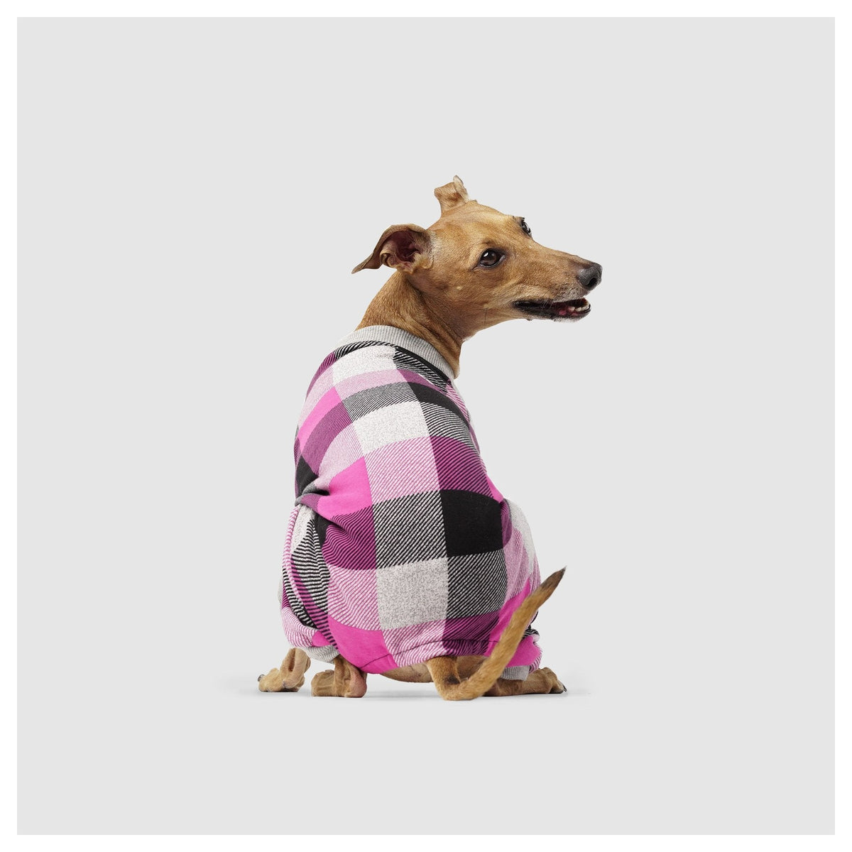 Canada Pooch Frosty Fleece Sweatsuit｜狗狗服飾｜加拿大直送-狗-毛孩物語Pets Thing｜香港寵物貓狗用品專門店：IATA寵物飛機籠、寵物手推車、貓爬架貓樹