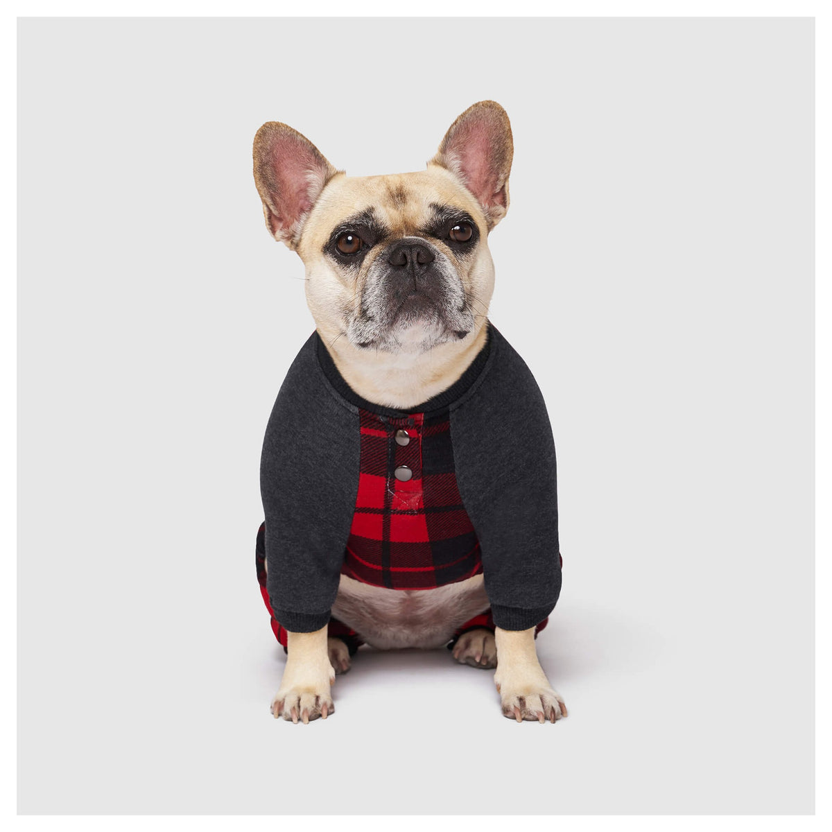 Canada Pooch Frosty Fleece Sweatsuit｜狗狗服飾｜加拿大直送-狗-毛孩物語Pets Thing｜香港寵物貓狗用品專門店：IATA寵物飛機籠、寵物手推車、貓爬架貓樹