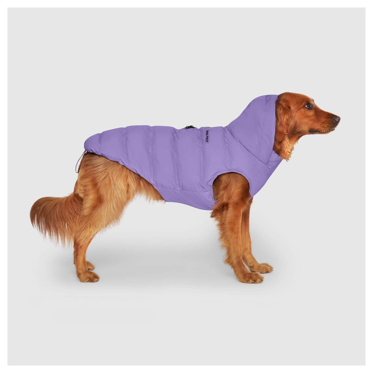 Canada Pooch Waterproof Puffer｜狗狗服飾｜加拿大直送-狗-毛孩物語Pets Thing｜香港寵物貓狗用品專門店：IATA寵物飛機籠、寵物手推車、貓爬架貓樹