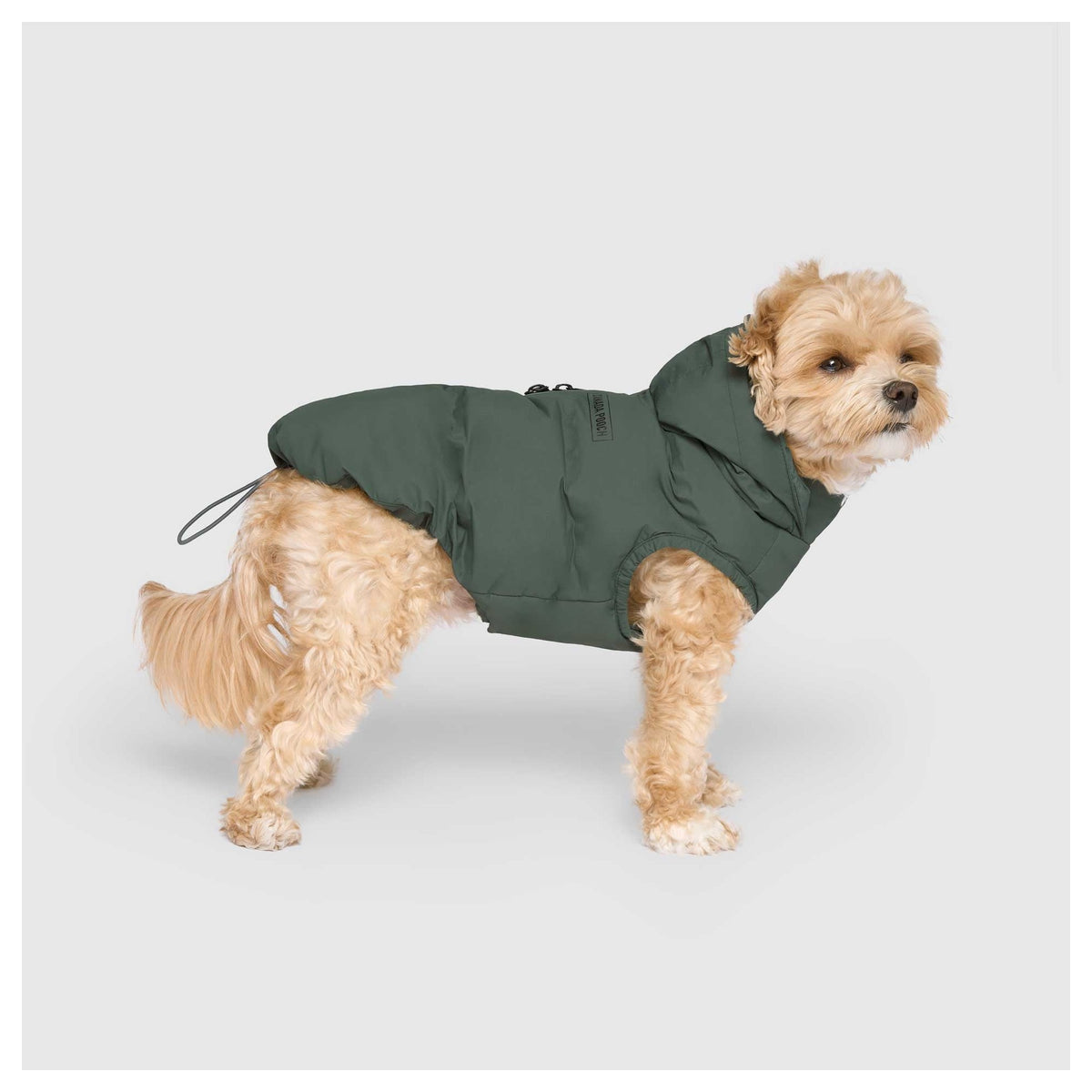 Canada Pooch Waterproof Puffer｜狗狗服飾｜加拿大直送-狗-毛孩物語Pets Thing｜香港寵物貓狗用品專門店：IATA寵物飛機籠、寵物手推車、貓爬架貓樹