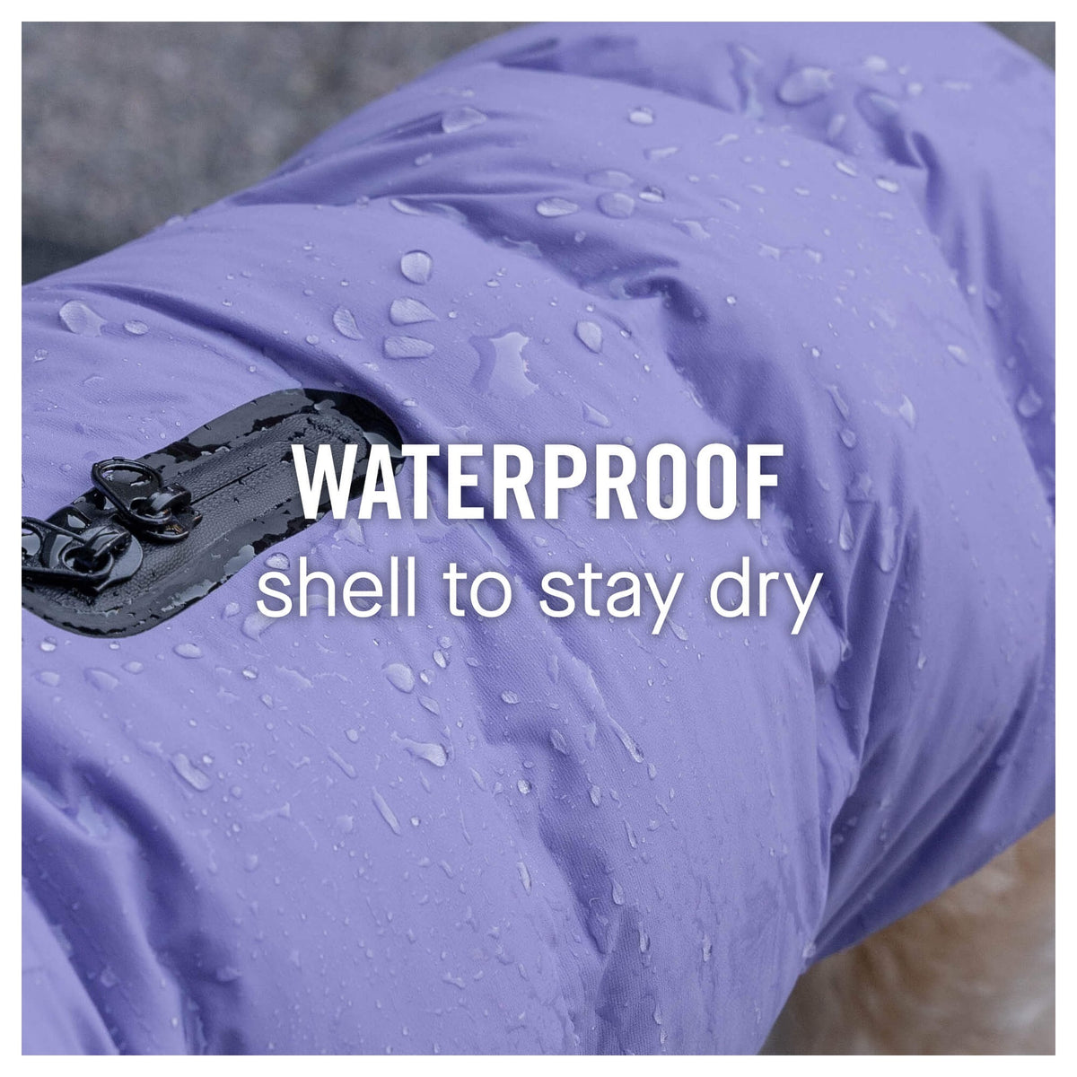 Canada Pooch Waterproof Puffer｜狗狗服飾｜加拿大直送-狗-毛孩物語Pets Thing｜香港寵物貓狗用品專門店：IATA寵物飛機籠、寵物手推車、貓爬架貓樹