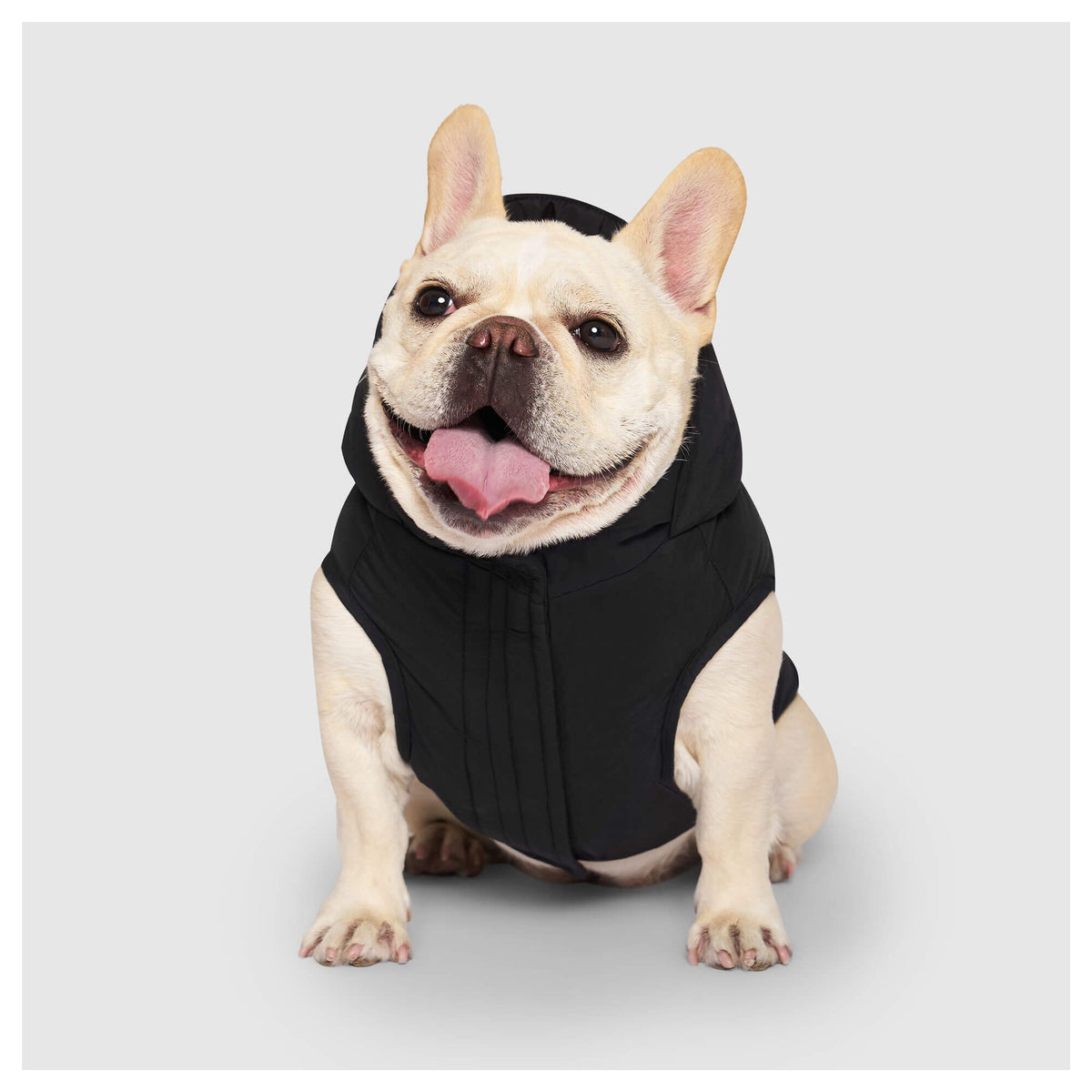 Canada Pooch Waterproof Puffer｜狗狗服飾｜加拿大直送-狗-毛孩物語Pets Thing｜香港寵物貓狗用品專門店：IATA寵物飛機籠、寵物手推車、貓爬架貓樹