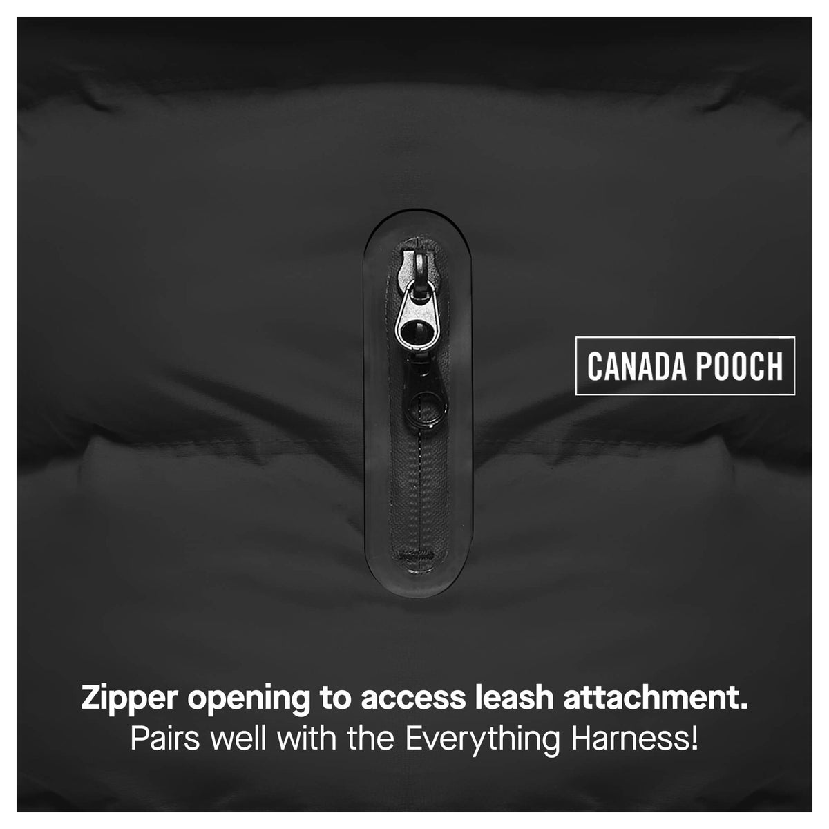 Canada Pooch Waterproof Puffer｜狗狗服飾｜加拿大直送-狗-毛孩物語Pets Thing｜香港寵物貓狗用品專門店：IATA寵物飛機籠、寵物手推車、貓爬架貓樹
