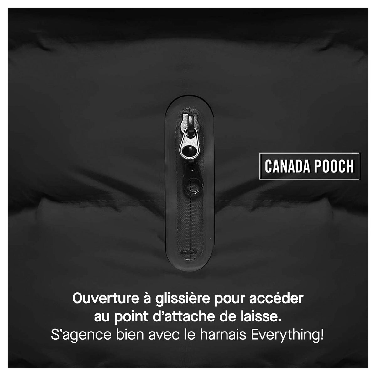 Canada Pooch Waterproof Puffer｜狗狗服飾｜加拿大直送-狗-毛孩物語Pets Thing｜香港寵物貓狗用品專門店：IATA寵物飛機籠、寵物手推車、貓爬架貓樹