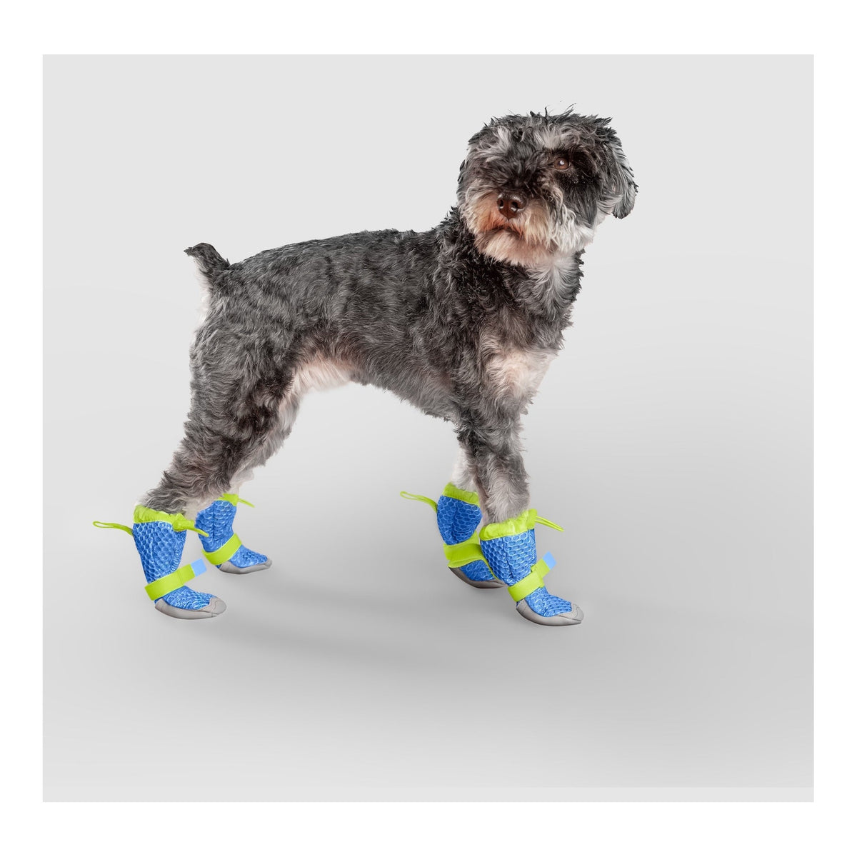 Canada Pooch Hot Pavement Boots｜狗狗鞋襪｜加拿大直送 主產品圖