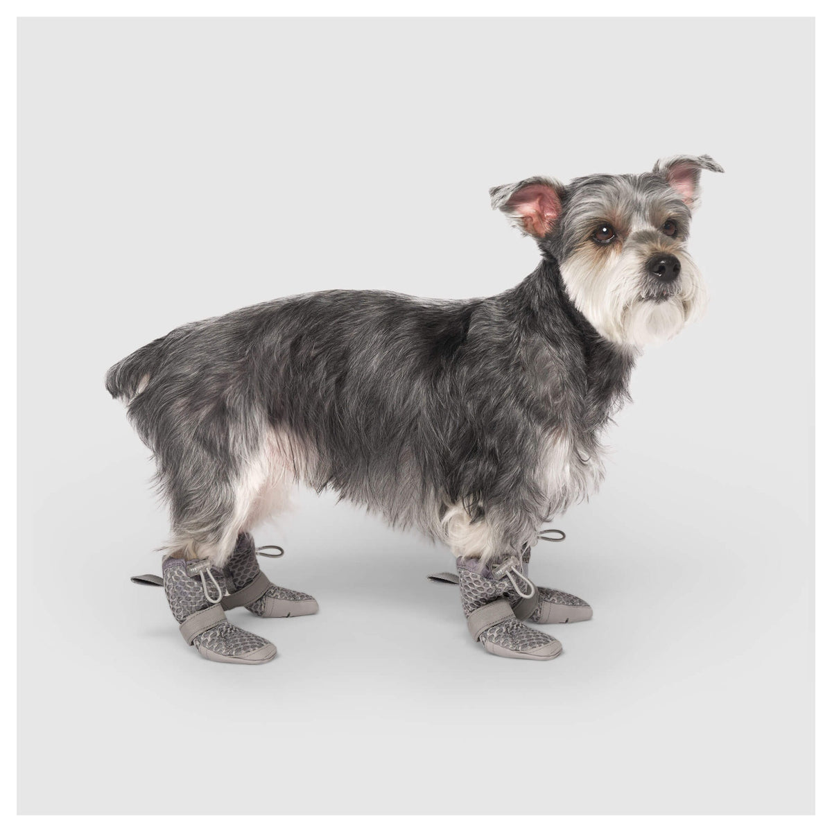 Canada Pooch Hot Pavement Boots｜狗狗鞋襪｜加拿大直送 產品細節圖 6