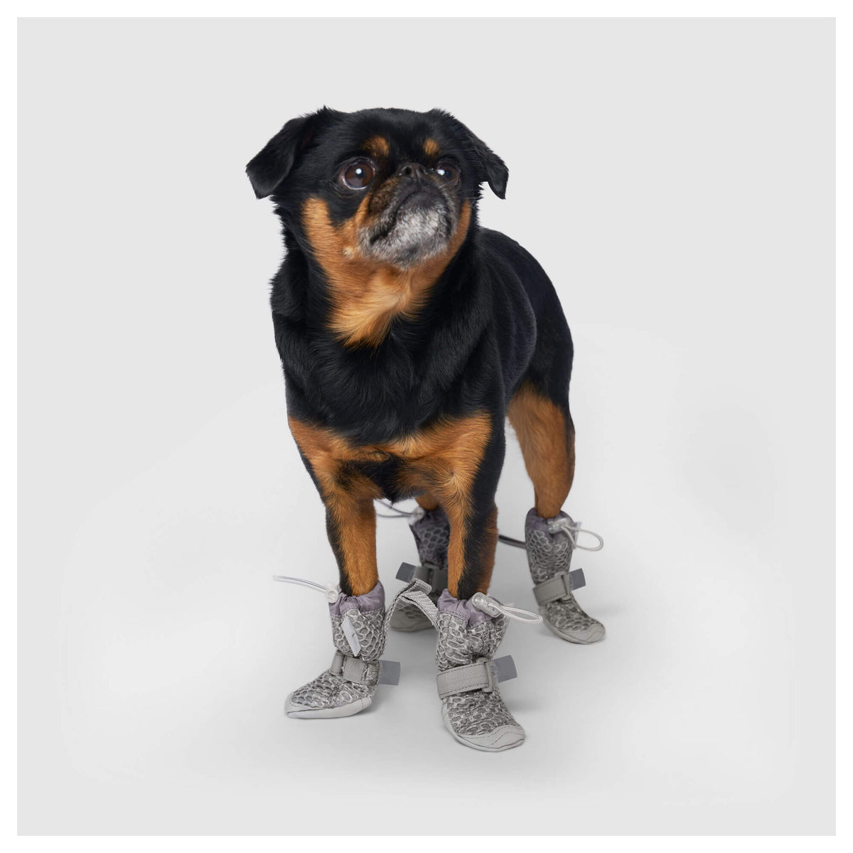 Canada Pooch Hot Pavement Boots｜狗狗鞋襪｜加拿大直送 產品細節圖 7
